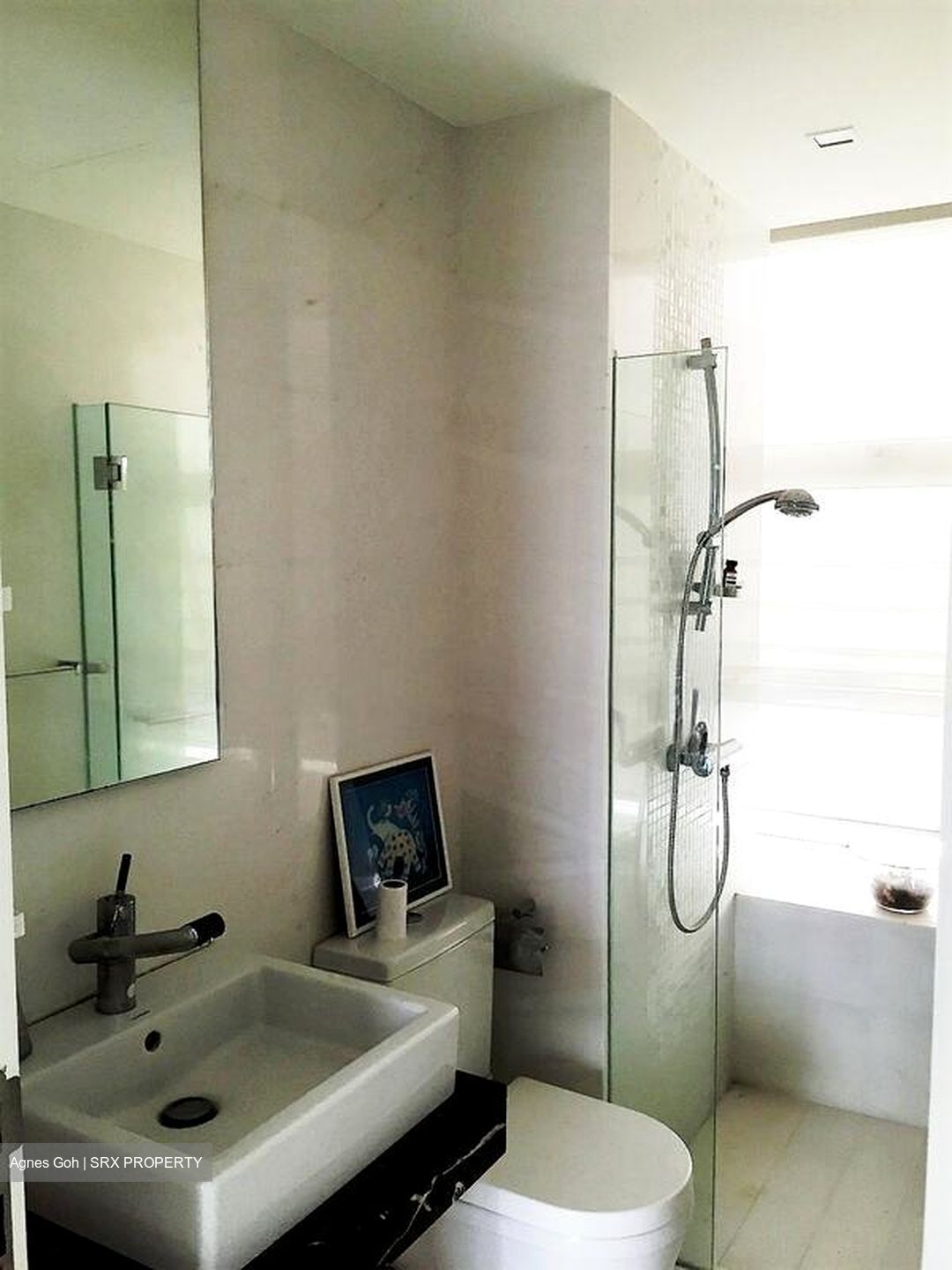 Cairnhill Residences (D9), Apartment #502881391
